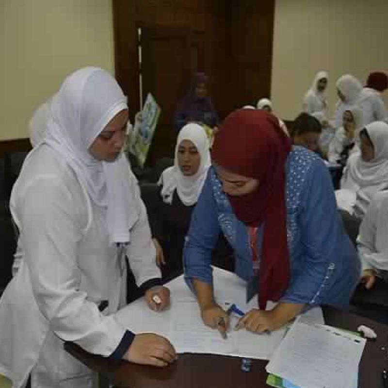   A copy of the workshop for the medical services team