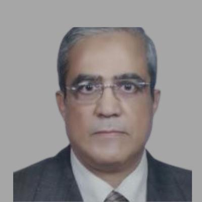 Advisor. Mustafa Ezz Al-Din 