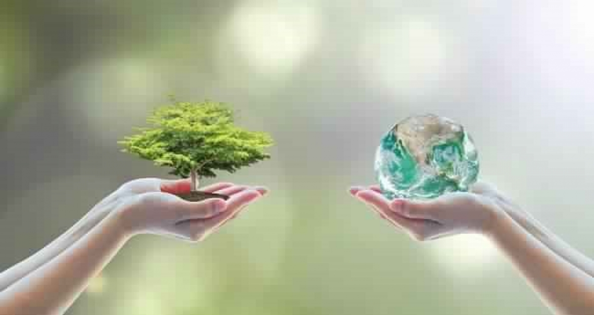 Environment sector